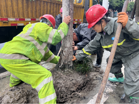 乐山市住房和城乡建设局开云电竞(图3)